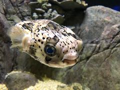 -成都浩海立方海洋公园