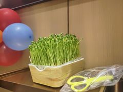 -海底捞火锅(龙岗星河COCO Park店)