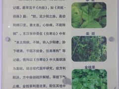 -北京中西医结合医院