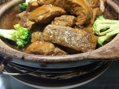 -大树餐厅(红旗街万达店)