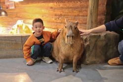 -Zoolung Zoolung动物主题公园(海信广场店)