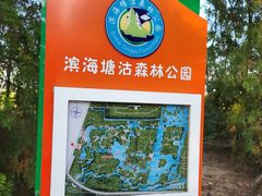-塘沽森林公园