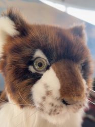 -IMON·HANSA潮玩玩偶毛绒玩具(通州万象汇店)