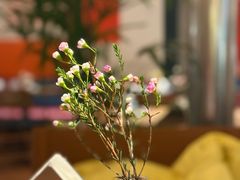 -芭莉与彩虹西餐厅(成都合生汇店)