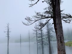 -瓦屋山景区