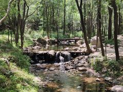 -玉渡山自然风景区