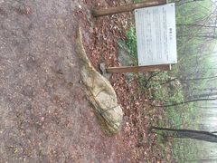 -南京金牛湖风景区