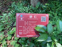 -广西壮族自治区药用植物园