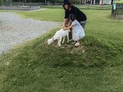 -前小桔亲子创意农场·草莓采摘·露营烧烤