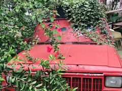 -三圣花乡旅游区