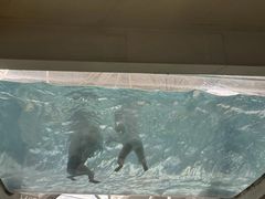 -天山海世界