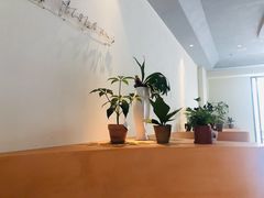 -fishtank鱼缸咖啡(三山街店)