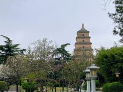 -大慈恩寺(大雁塔)
