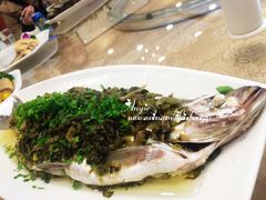 -浦江餐饮·上海菜馆(五四路店)