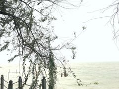 -湖鲜楼