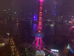 -金轩中餐厅 Jin Xuan(浦东丽思卡尔顿酒店)