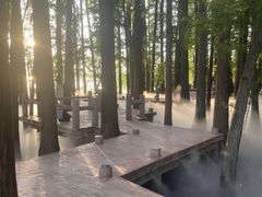 -东湖落雁景区