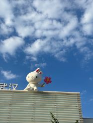 -莫莉幻想儿童乐园(武汉经开永旺店)
