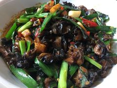 紫苏田螺肉-何氏排骨(左家塘店)