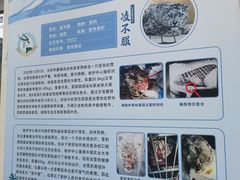 -青藏高原野生动物园