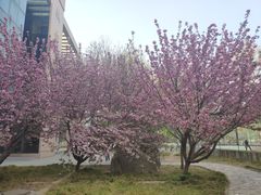 -河南师范大学(主校区)