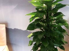 -眉州东坡(通州店)