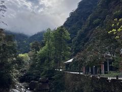 -花岩国家森林公园