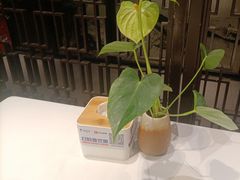 -眉州东坡(华联万柳店)