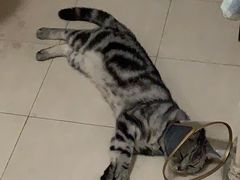 -美迦爱-牙专科·兔科·骨科诊疗中心(北苑店)