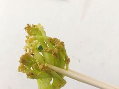-胖胖板凳面