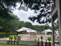 -同里国家湿地公园