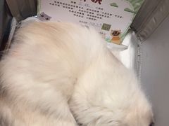 -守诺宠物医院·眼科· 特色牙科·异宠专科(虹口店)