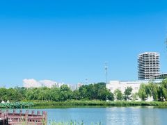 -西海子公园