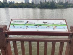 -五缘湾湿地公园