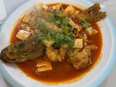 -煲来饱去冷水鱼