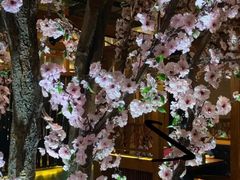 -辛氏火炉·韩式古法烤肉(松北店)