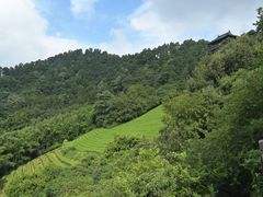 -敬亭山风景名胜区