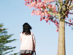 -风云岭森林公园