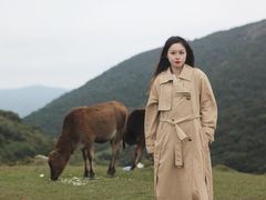 -大姆山草场