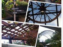 -The Grounds of Alexandria