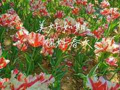 -郑州中国绿化博览园