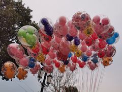 -上海迪士尼度假区