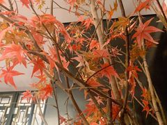-新白鹿餐厅(爱琴海购物中心店)