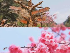 -西游洞风景区