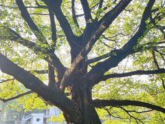 -晓港公园