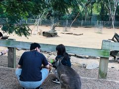 -费瑟代尔野生动物园