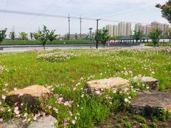 -菊园百果园