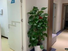 -北京地坛口腔门诊部