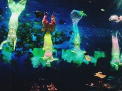 -瑞德姆美人鱼海底演艺主题餐厅(亚龙湾店)