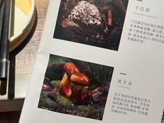 -蘑界·野生菌火锅(深业上城店)